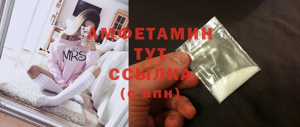 сатива Новозыбков