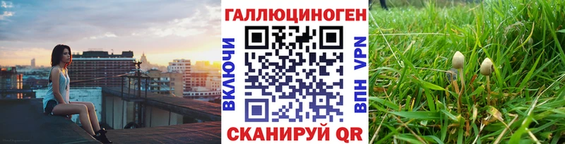 Галлюциногенные грибы Psilocybine cubensis Куровское