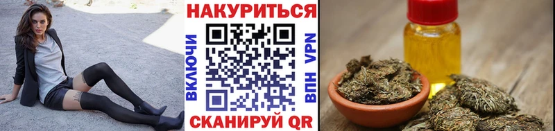 Каннабис OG Kush Куровское